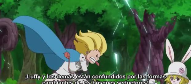 'One Piece': en el episodio 846 se reveló la persecución fuera de Whole Cake Island 'One Piece': en el episodio 846 se reveló la persecución fuera de Whole Cake Island