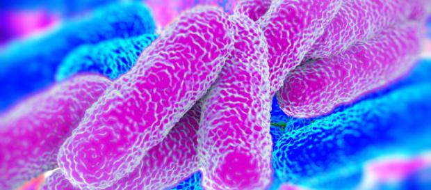 Tona in Italia la legionella: segnalati 14 casi in provincia di Milano - hydro-x.co.uk Tona in Italia la legionella: segnalati 14 casi in provincia di Milano - hydro-x.co.uk