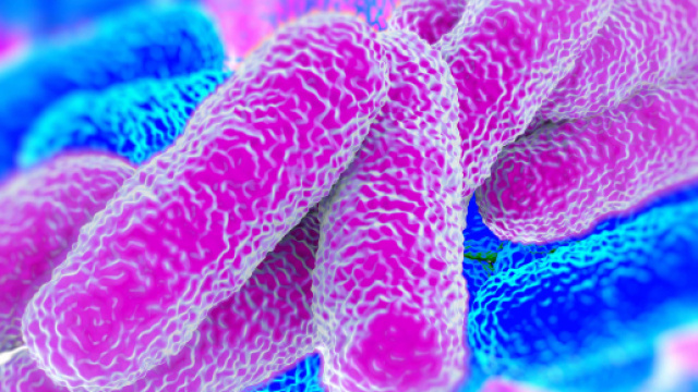 Tona in Italia la legionella: segnalati 14 casi in provincia di Milano - hydro-x.co.uk