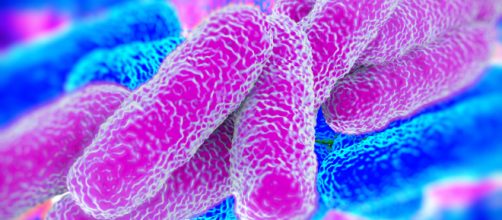 La legionella fa 3 vittime a Bresso. Molti i malati ricoverati.