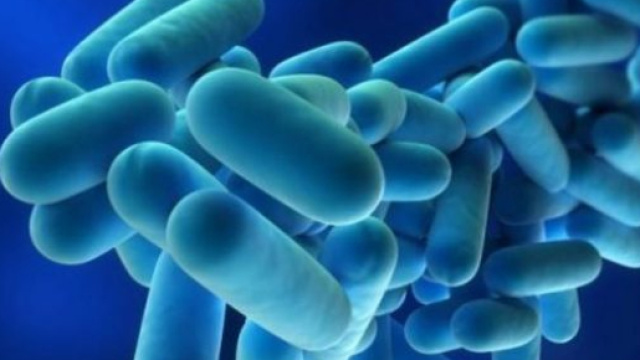 Legionella, muore 84enne: &egrave; la terza vittima del batterio