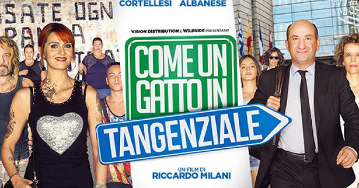 Come Un Gatto In Tangenziale Denunciate Per Taccheggio Due