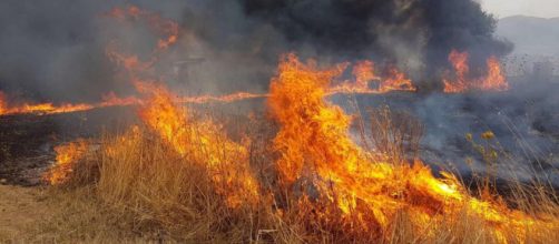 Campagna antincendi tra luci e ombre, in Sicilia più fondi ma ... - gds.it