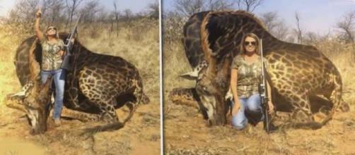 A US woman on a hunt in South Africa shot a rare, 18-year-old black giraffe causing outrage. [Image Inside Edition/YouTube]