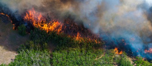 A view of the East Peak wildfire near La Veta, Colorado (Image courtesy - Darin Overstreet, Wikimedia Commons)