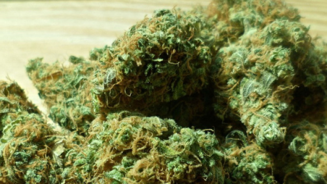 318e3ccb-e500-418b-a0df- ... - blastingnews.com