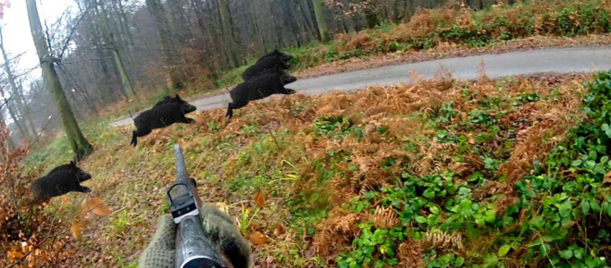 arezzo un cacciatore muore in una battuta di caccia e sui social fioccano gli insulti