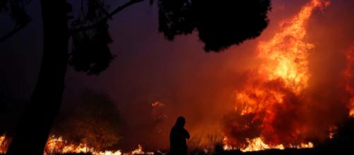 Gobierno de Grecia confirma 20 muertos por incendios forestales - televisa.com
