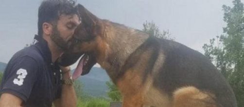 Avvelenato il cane Kaos, il padrone: 'Aveva il dono di salvare le vite'