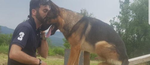 Ucciso Kaos, cane eroe del terremoto di Amatrice, qui con il suo proprietario e addestratore Fabiano Ettorre.