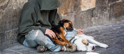 Sopprimono cane di senzatetto a sua insaputa: legale impugna causa ... - amoreaquattrozampe.it