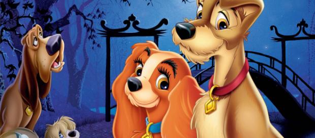Película La dama y el vagabundo Película La dama y el vagabundo