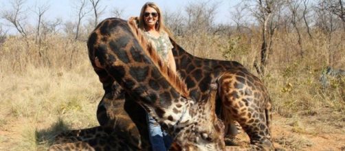 Africa Digest condivide le foto di un anno fa di una cacciatrice americana che fanno il giro del mondo