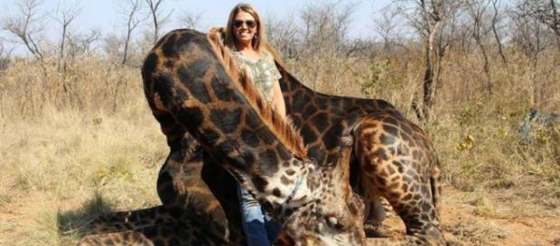 Africa Digest condivide le foto di un anno fa di una cacciatrice americana che fanno il giro del mondo Africa Digest condivide le foto di un anno fa di una cacciatrice americana che fanno il giro del mondo