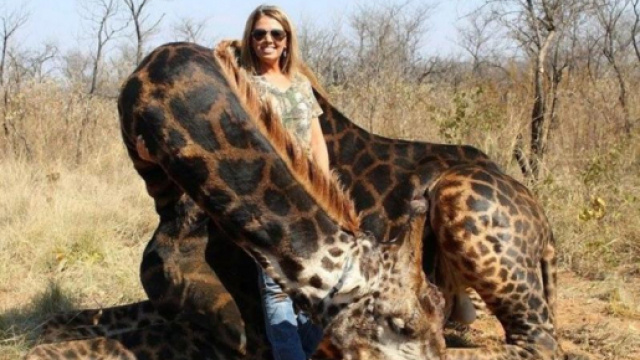 Africa Digest condivide le foto di un anno fa di una cacciatrice americana che fanno il giro del mondo