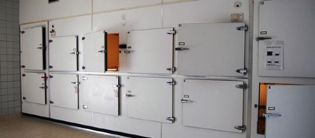 South Africa: 'Dead woman' found alive in Mortuary fridge - image credit - P.J.L Laurens | Wikimedia South Africa: 'Dead woman' found alive in Mortuary fridge - image credit - P.J.L Laurens | Wikimedia