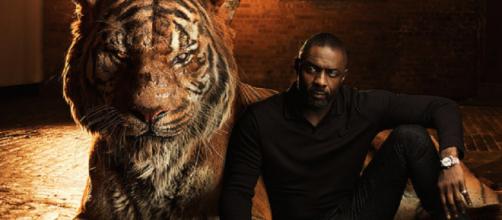 Idris Elba ain't afraid of 'The Rock' (source:flickr, BagoGames)