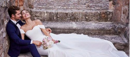 Bisbal y Zanetti califican su matrimonio como un sueño hecho realidad y mucha felicidad