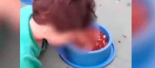 In Brasile madre costringe il figlio di 2 anni a mangiare il cibo del cane