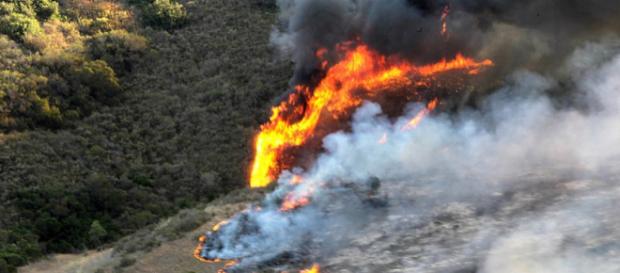 Wildfire raging in California (Image courtesy - Tyler C. Gregory, Wikimedia Commons) Wildfire raging in California (Image courtesy - Tyler C. Gregory, Wikimedia Commons)
