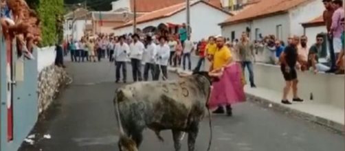 A father holds his child while fighting a bull in a village in the Azores, Portugal. [Image Plataforma Basta de Touradas/Facebook video]