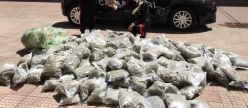Maxi sequestro di droga, arrestati due coniugi | Soverato Web.Com - soveratoweb.com