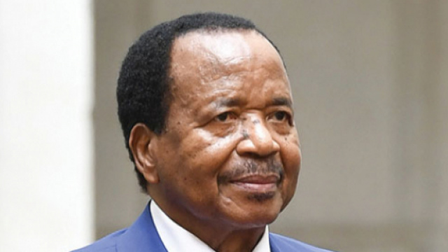 CAPECO Africa : Home - capecoafrica.com