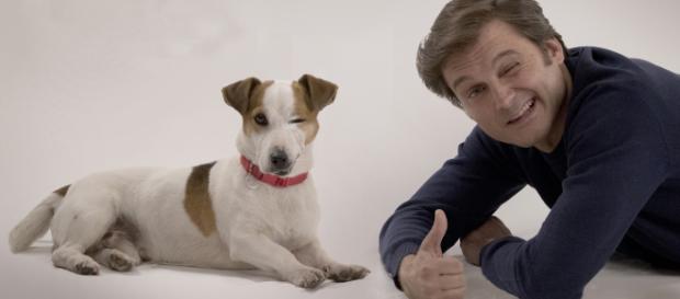 TVE ya estrenó Sabuesos, una serie familiar protagonizada por un perro TVE ya estrenó Sabuesos, una serie familiar protagonizada por un perro