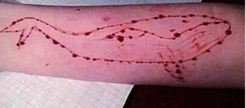 Blue Whale: salvato un diciassettenne dal suicidio a Messina - sportfair.it