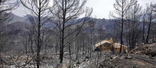 Logran estabilizar el incendio de 3.000 hectáreas en Valencia