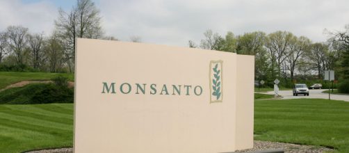 La Compañía Monsanto pagará 289 millones de dólares a un jardinero por los efectos cancerígenos de uno de sus herbicidas