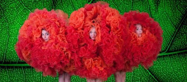 The modern dance company MOMIX is celebrating 40 years in existence. / Image via Moses Pendleton, used with permission. The modern dance company MOMIX is celebrating 40 years in existence. / Image via Moses Pendleton, used with permission.