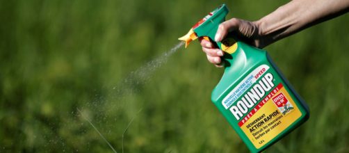 Herbicida de Monsanto considerado cancerígeno