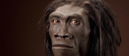 La pereza contribuyó a la extinción del Homo erectus
