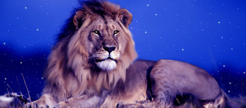 Oroscopo di domani 20 agosto 2018, segno 'top del giorno' il Leone.