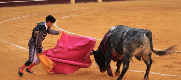 El torero Roca Rey se declara públicamente a Victoria Federica El torero Roca Rey se declara públicamente a Victoria Federica