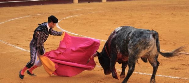 Juan Carlos en los toros en San Sebastián Juan Carlos en los toros en San Sebastián