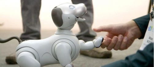 Photo of robot dog, Aibo. - [The Verge / YouTube screencap]