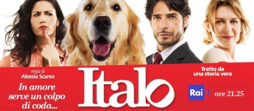 Stasera in TV: Italo, il film tratto sulla storia vera di un randagio che ha conquistato la Sicilia