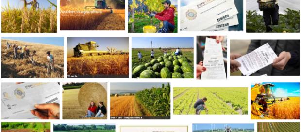 voucher agricoltura come funzionano e novità voucher agricoltura come funzionano e novità