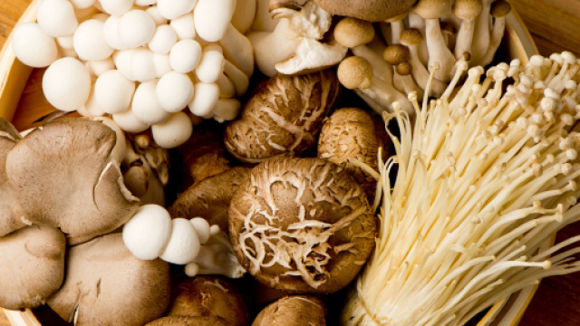 I funghi sono una delle poche fonti vegetali di vitamina D