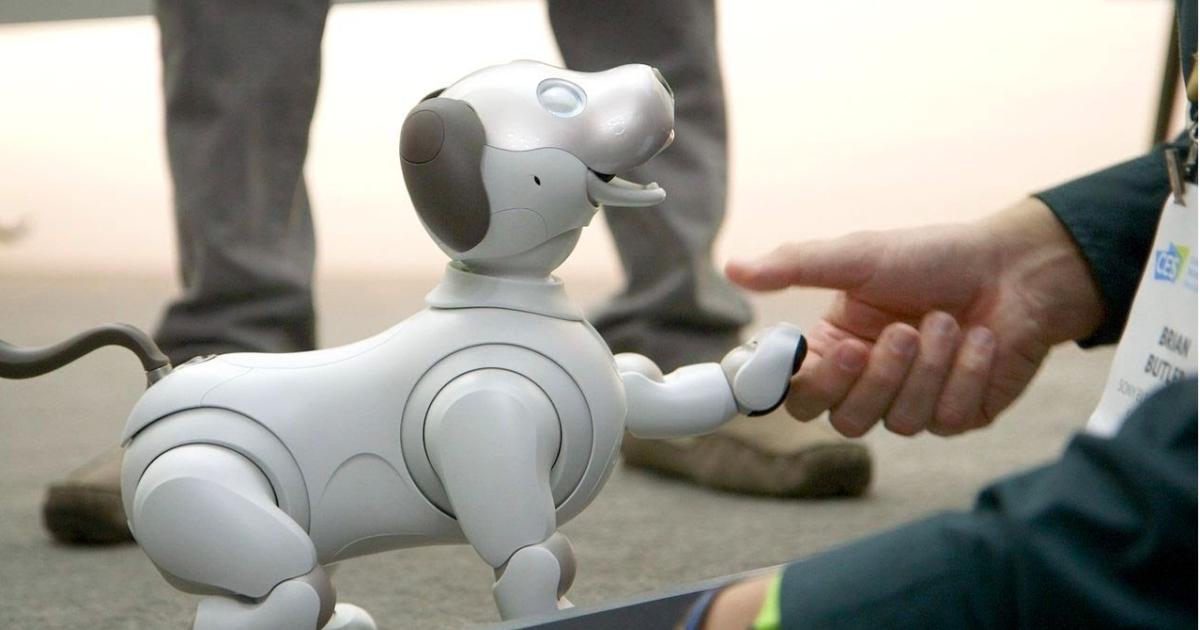 cane robot aibo