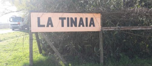 Pisa, protesta al centro immigrazione "La Tinaia" di Cascina: topi e sporcizia all'interno della struttura