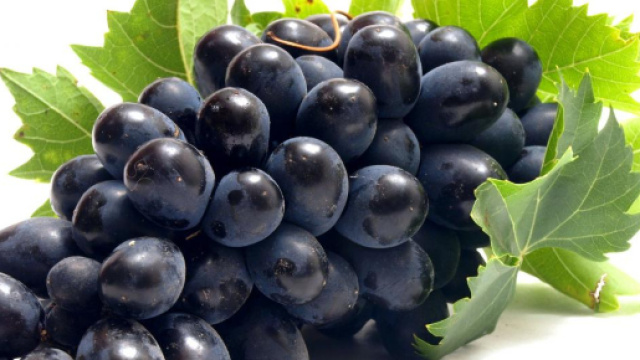 Taranto: un altro bambino di due anni muore soffocato da un acino di uva