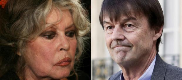 Brigitte Bardot heureuse du départ de Nicolas Hulot Brigitte Bardot heureuse du départ de Nicolas Hulot