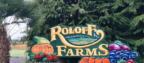 Little People, Big World Roloff Farms Pumpkin Season runs 5 to 28 October - Imnage credit - Roloff Farms | Instagram