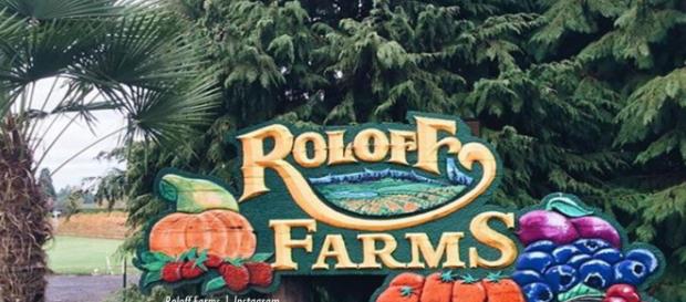 Little People, Big World Roloff Farms Pumpkin Season runs 5 to 28 October - Imnage credit - Roloff Farms | Instagram Little People, Big World Roloff Farms Pumpkin Season runs 5 to 28 October - Imnage credit - Roloff Farms | Instagram