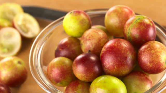 Camu camu, aumenterebbero il metabolismo basale permettendo un pi&ugrave; rapido dimagrimento