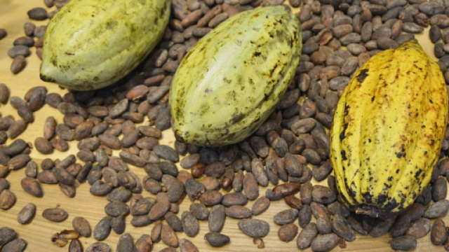 économie Archives - Tribune Ouest - tribuneouest.com