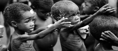 Desnutrición mundial amenaza con descarrilar el desarrollo humano - com.mx